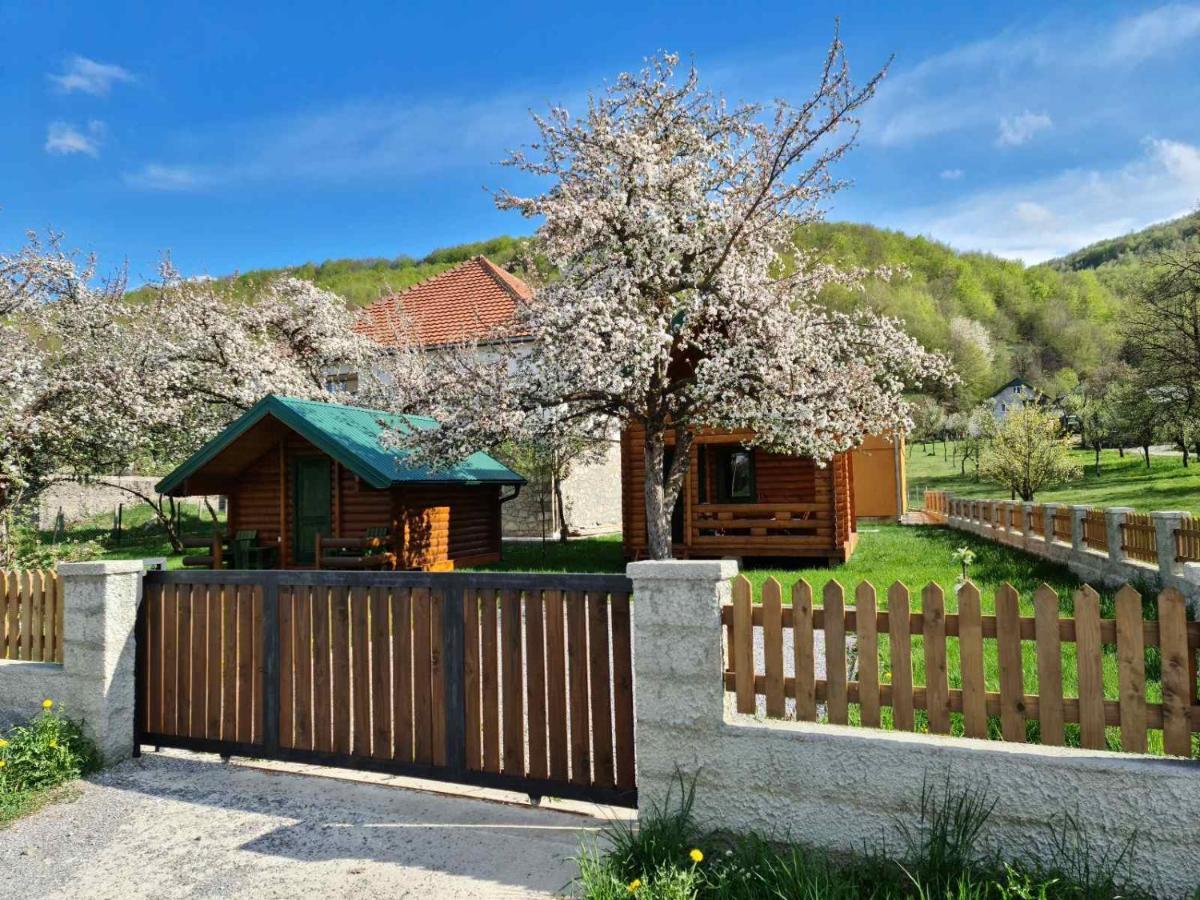Guest House Green Garden Мойковац Екстериор снимка