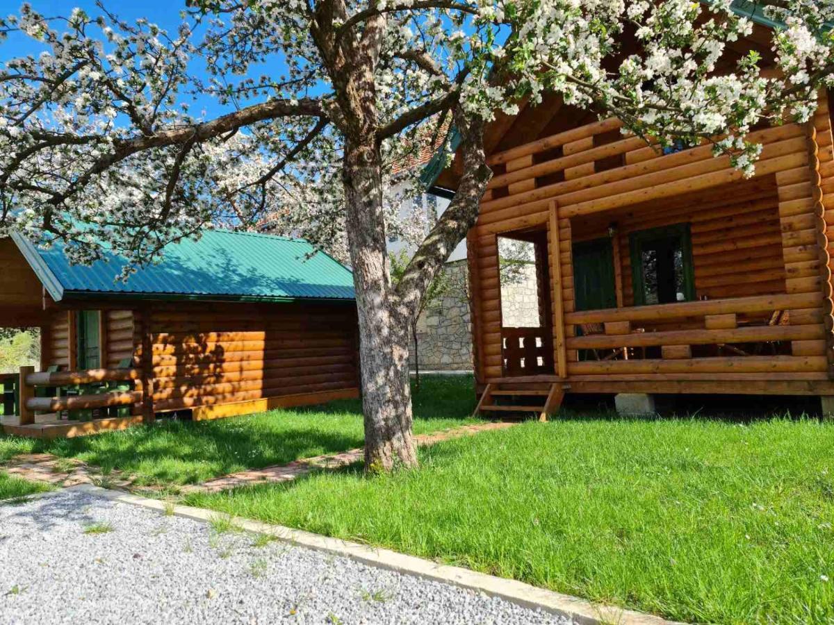 Guest House Green Garden Мойковац Екстериор снимка