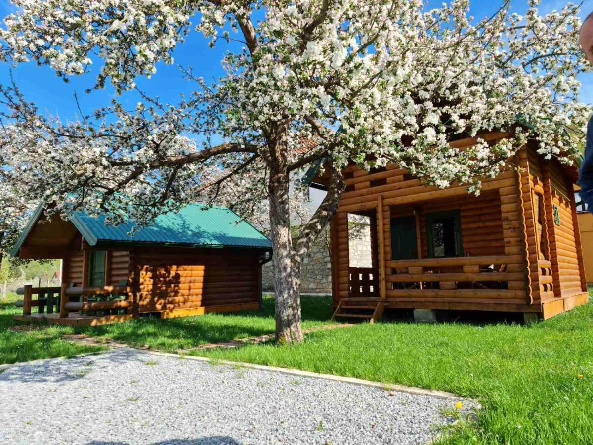 Guest House Green Garden Мойковац Екстериор снимка