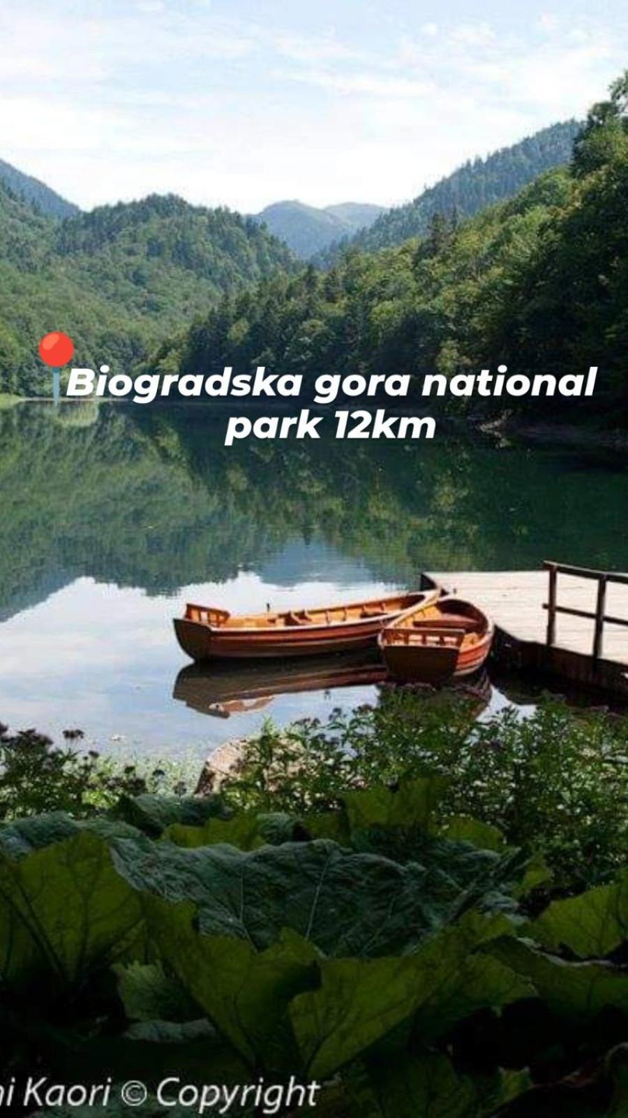 Guest House Green Garden Мойковац Екстериор снимка